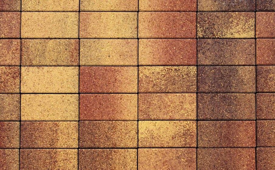 Плитка тротуарная Прямоугольник В.2.П.10 листопад гранит осень, 200*100*100 мм