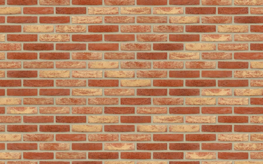 Плитка Nelissen FAMENE / FAMENNE ANTIK (old name), 215*65*20 мм