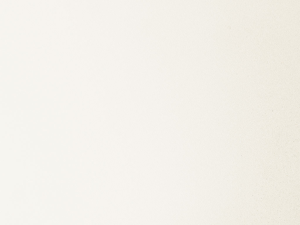 HPL-панель Lemark Белый SH-Shagreen (матовая), 3050*1300*6 мм
