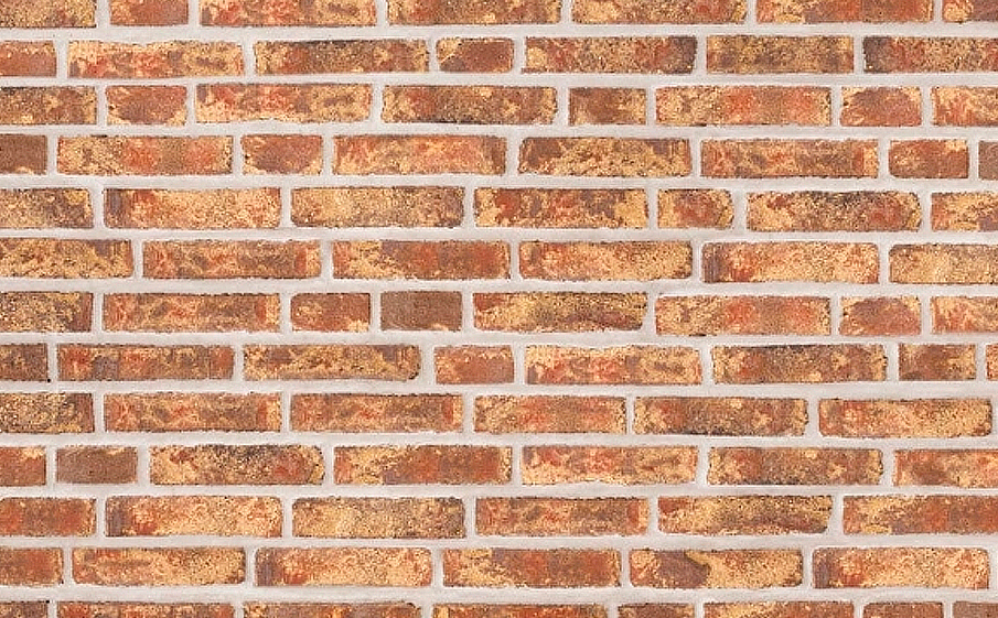 Кирпич облицовочный Randers Tegl Rustica RT452, 220*50*65 мм