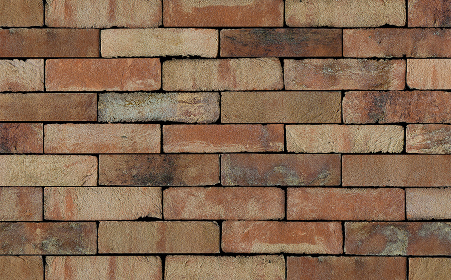 Кирпич S.Anselmo Superior Line Ecocolor, Selmo, 250*60*55 мм