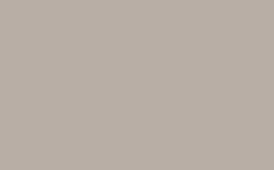 HPL-панель PoliLam Colors Mouse Grey LA, 3050*1220*8 мм
