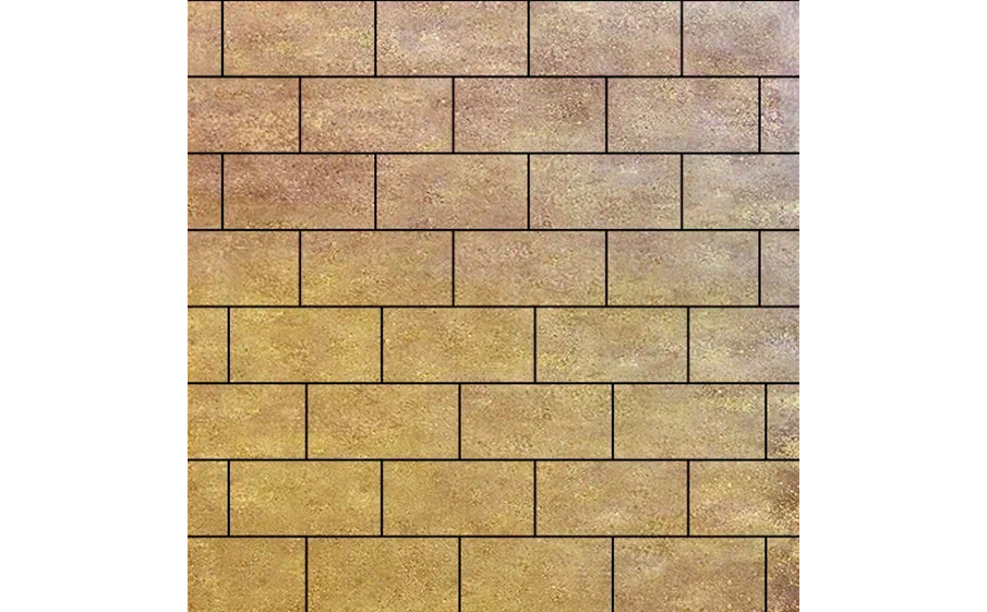 Плитка тротуарная SteinRus Прямоугольник В.6.П.8 гладкая, ColorMix Брайс, 200*100*80 мм