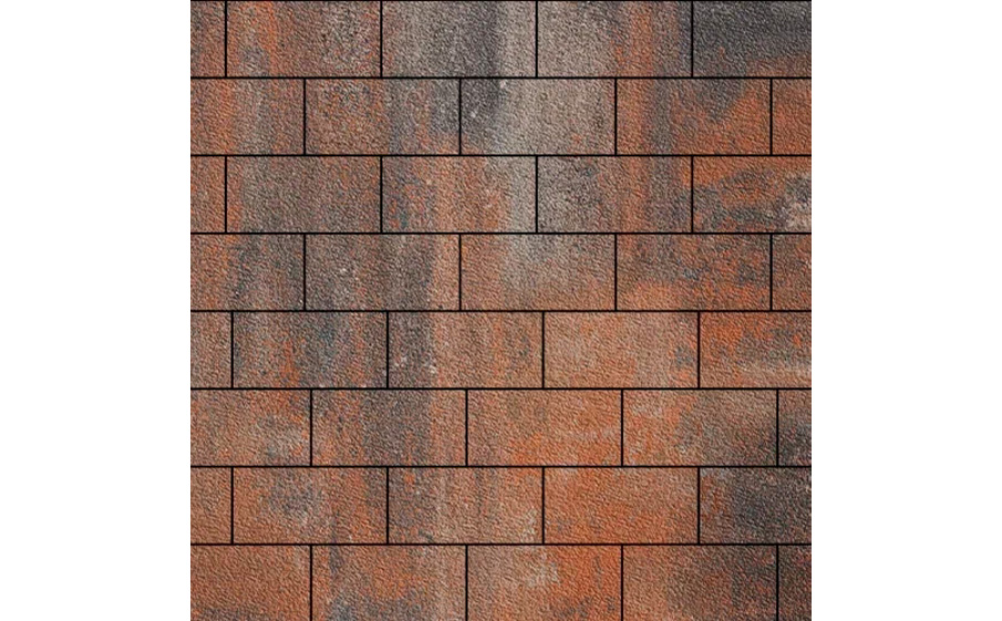 Плитка тротуарная SteinRus Прямоугольник Б.6.П.6 Native, ColorMix Рей, 200*100*60 мм