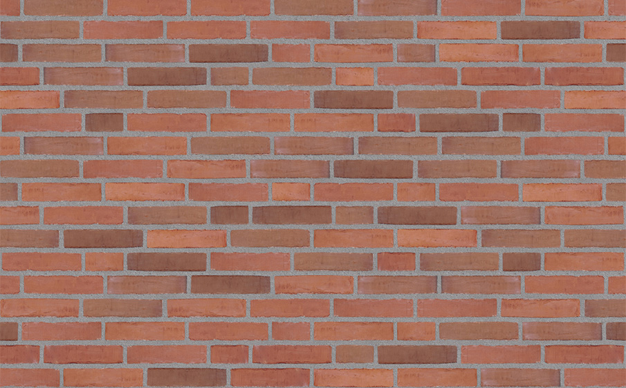 Кирпич облицовочный Randers Tegl Classica RT448, 228*50*54 мм