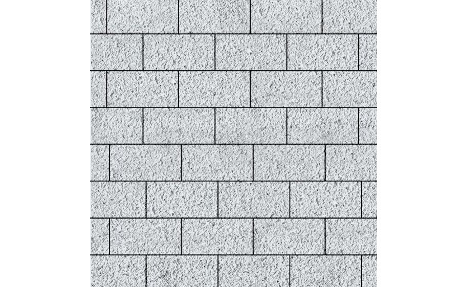 Плитка тротуарная SteinRus Прямоугольник В.6.П.8, Backwash, Эльтон, 200*100*80 мм