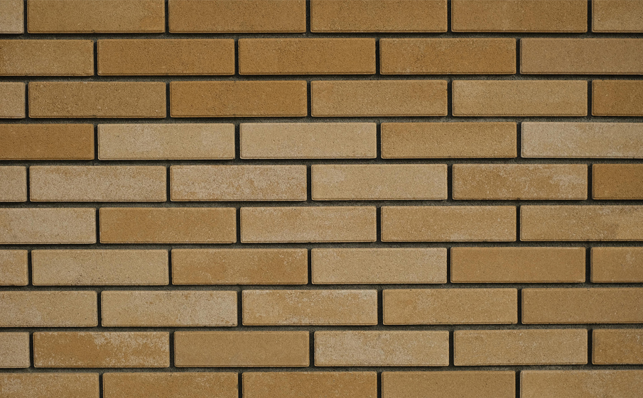 Кирпич облицовочный Выбор 2Л200.F100 Премиум Степняк, 250*85*65 мм