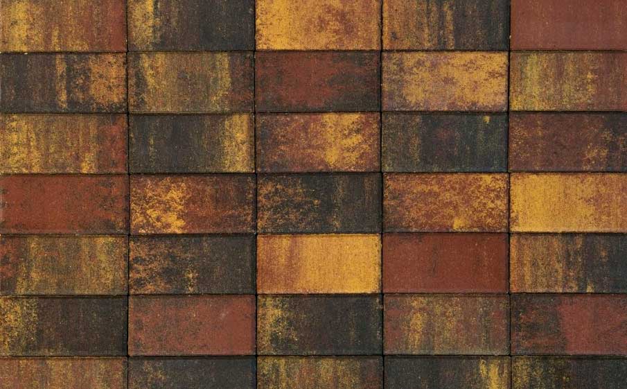 Плитка тротуарная BRAER Прямоугольник Color Mix Мальва, 200*50*60 мм