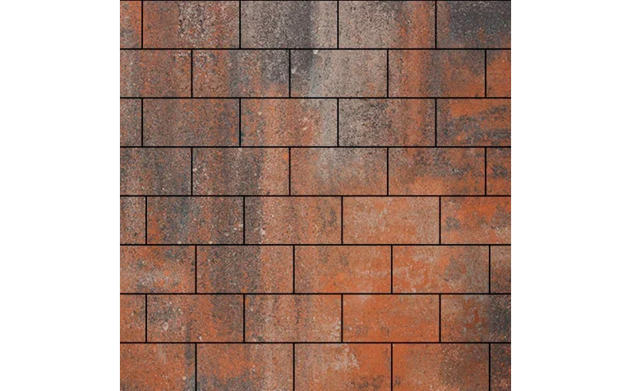 Плитка тротуарная SteinRus Прямоугольник В.6.П.8, гладкая, ColorMix Рей, 200*100*80 мм