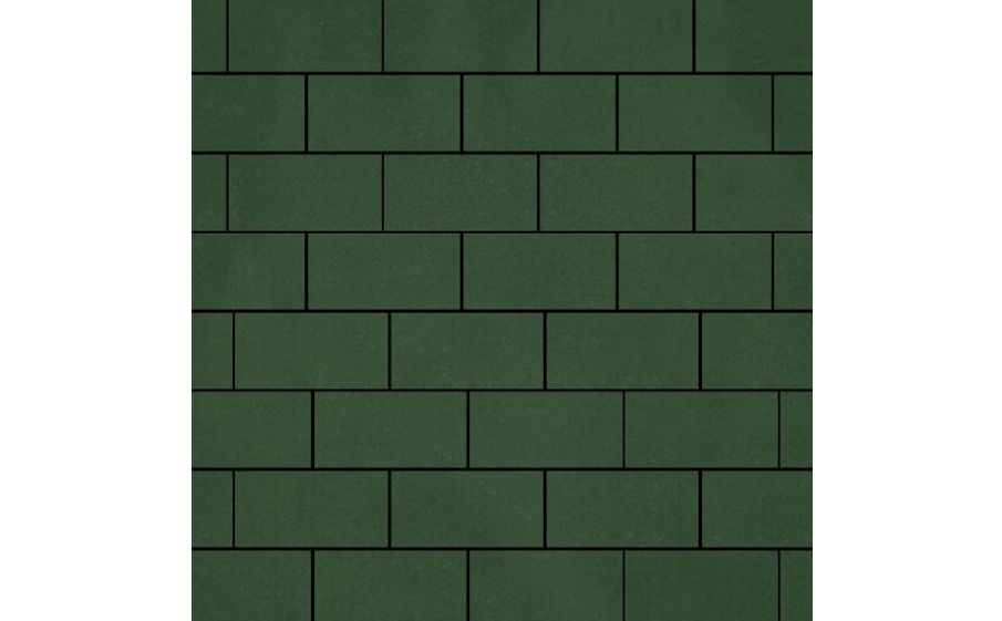 Плитка тротуарная SteinRus Прямоугольник А.6.П.4 гладкая, оливковый, 200*100*40 мм