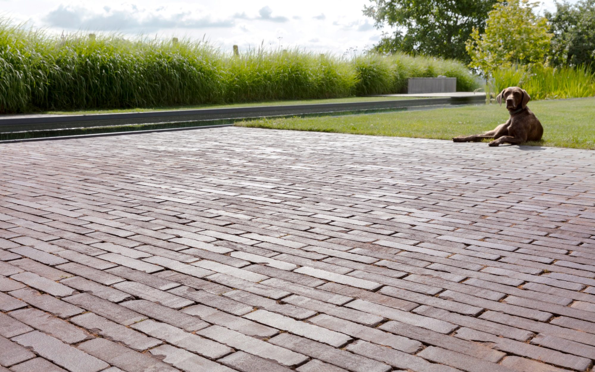 Клинкерная брусчатка Penter Eros onbezand tumbled, 200*65*65 мм