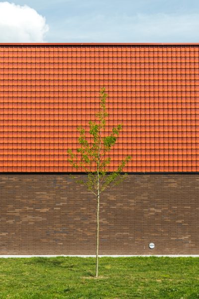 Кирпич облицовочный Terca Linnaeus Quercus, 288*88*48 мм