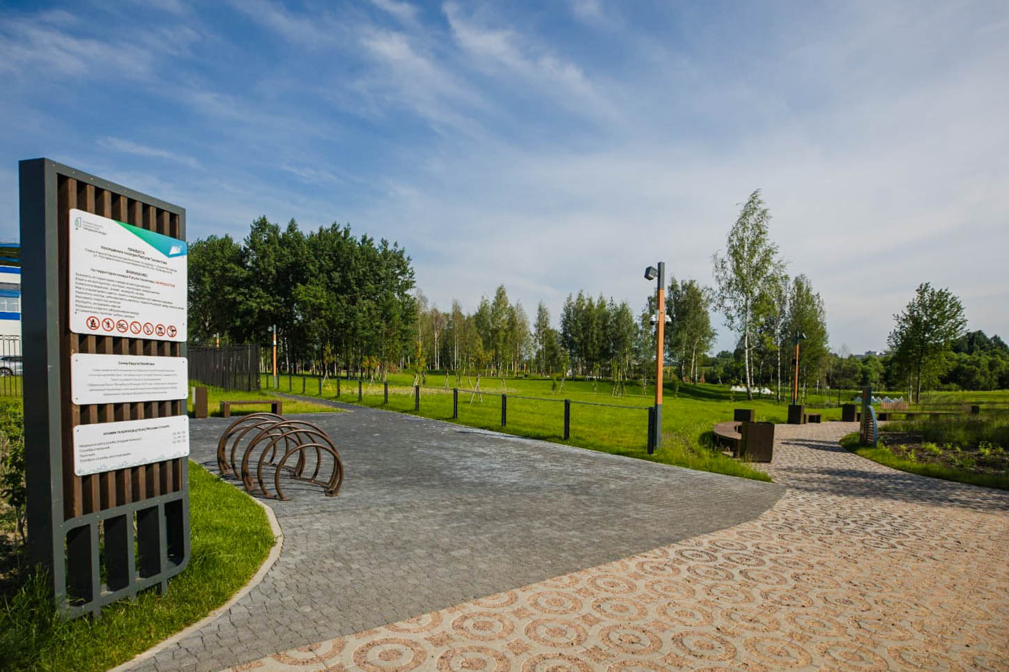 Плитка тротуарная Готика Profi, Эко-фантазия Б.3.ГР.8, серый, полный прокрас, с/ц, 300*300*80 мм