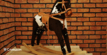 Внутренняя отделка фасадной плиткой LHL Terra Cotta