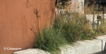 Площадь с применением брусчатки MUHR 15 Schwarz-bunt edelglanz