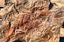 Песчаник тигровый Дракон, 20-40 мм