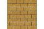 Плитка тротуарная SteinRus Прямоугольник Лайн А.6.П.4, Native, желтый, 200*100*40 мм