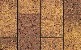 Плитка тротуарная Прямоугольник (Ла-Линия) Б.5.П.8 Листопад гладкий Осень 600*300*80 мм