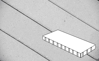 Плитка тротуарная Готика Profi, Плита, светло-серый, частичный прокрас, с/ц, 800*400*100 мм