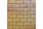 Плитка тротуарная SteinRus Прямоугольник Лайн А.6.П.4 Native, ColorMix Брайс, 200*100*40 мм