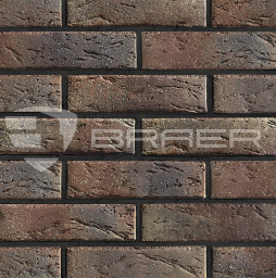Кирпич BRAER PRO 55.08.1 с утолщенной стенкой, 250*120*65 мм