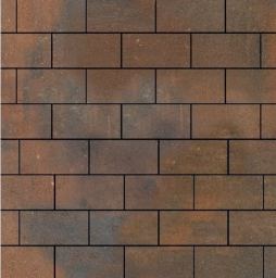 Плитка тротуарная SteinRus Прямоугольник Лайн Б.6.П.6, гладкая, ColorMix Штайнрус, 200*100*60 мм