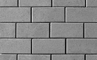 Плитка тротуарная Прямоугольник (Ла-Линия) А.2.П.4 гладкий серый 200*100*40 мм