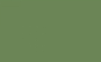 Керамогранит Грани Таганая Feeria GTF475 зеленые водоросли 1200*600*10 мм