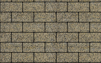 Плитка тротуарная Прямоугольник (Ла-Линия) В.2.П.10 Гранит+ желтый с черным 200*100*100 мм