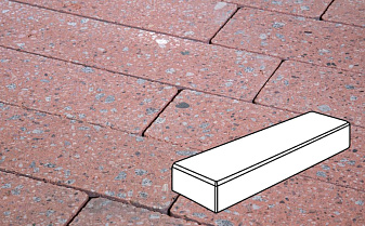 Плитка тротуарная Готика, Granite FINO, Паркет, Травертин, 300*100*60 мм