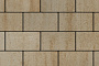 Плитка тротуарная Прямоугольник (Ла-Линия) Б.1.П.8 Искусственный камень Степняк, 300*200*80 мм