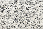 Плитка тротуарная Квадрум Б.7.К.8 Стоунмикс бело-чёрный 600*600*80 мм