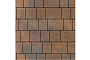 Плитка тротуарная SteinRus Инсбрук Инн Б.6.Фсм.6, гладкая, ColorMix Штайнрус, толщина 60 мм