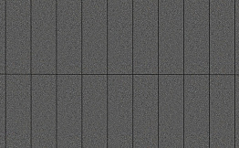 Плитка тротуарная Прямоугольник (Ла-Линия) В.11.П.10 гладкий серый 400*100*100 мм