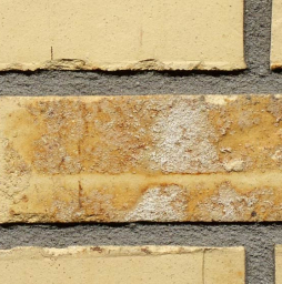 Кирпич облицовочный Terca Sussex Multi Gesinterd 210*100*50 мм