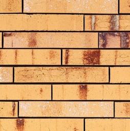 Кирпич облицовочный Terca Archipolis Amber Geel, 240*65*40 мм