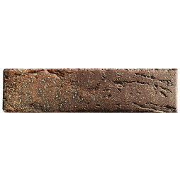 Кирпич BRAER PRO 55.08.1 с утолщенной стенкой, 250*120*65 мм