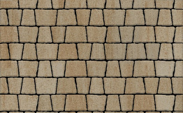 Плитка тротуарная Антик Б.3.А.6 Искусственный камень Степняк