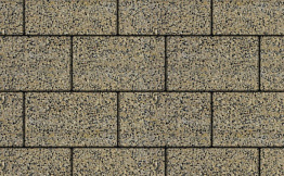 Плитка тротуарная Прямоугольник (Ла-Линия) Б.1.П.8 Гранит+ желтый с черным 300*200*80 мм