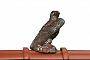 Декоративный элемент BRAAS Беркут, медный, 43 см