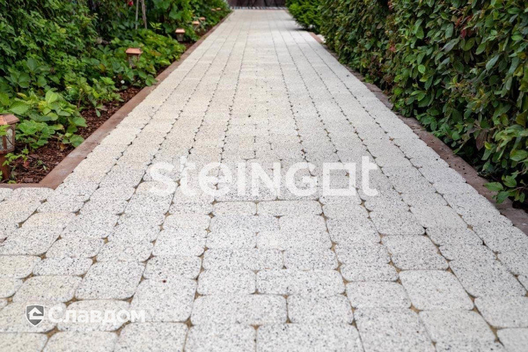 Плитка тротуарная Steingot Премиум, Классика, дробеструйная обработка, Bianco Nero, толщина 60 мм