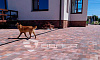 Плитка тротуарная BRAER Старый город Ландхаус Color Mix Койот, толщина 60 мм