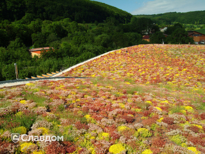 Система экстенсивного озеленения неэксплуатируемой скатной крыши 5-15° Bauder WSP 50