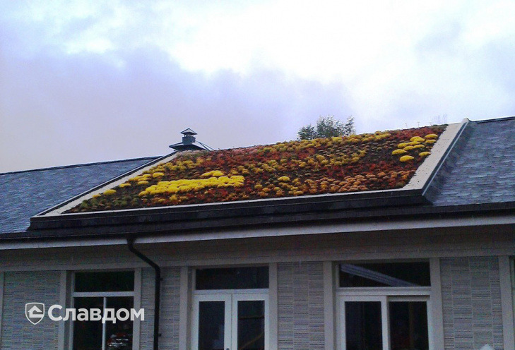 Система экстенсивного озеленения неэксплуатируемой плоской крыши Bauder WSP 50